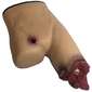 techline-trauma-bleeding-control-part-task-trainer.921056.jpg